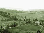 Tuscany hills by Walt Lonner
